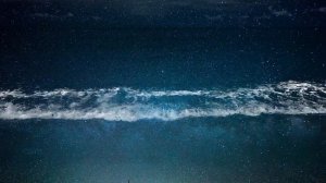 Water Shaman - Shaman Drum Journey & Koshi bells - Tantra Music | Calm Whale