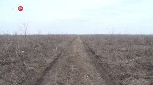 Брошенное поле в Ростовской области
