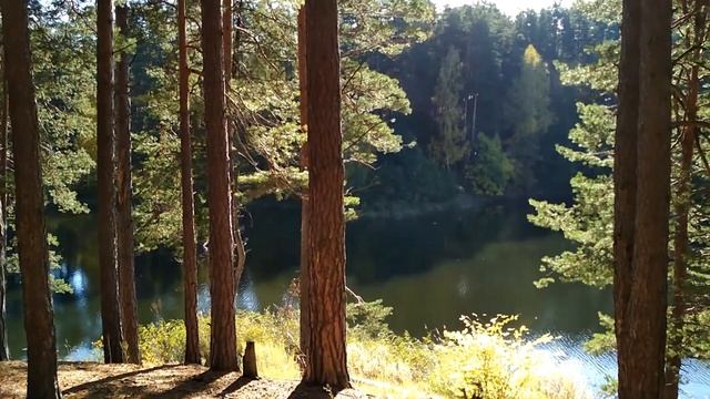 Марий Чодра в октябре смотреть онлайн