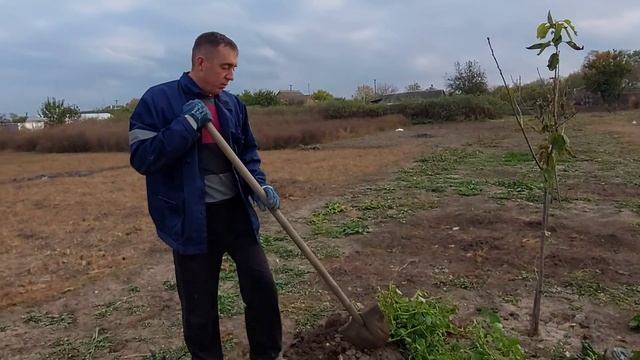 Копаем картошку. Два урожая за сезон, реально. смотреть онлайн