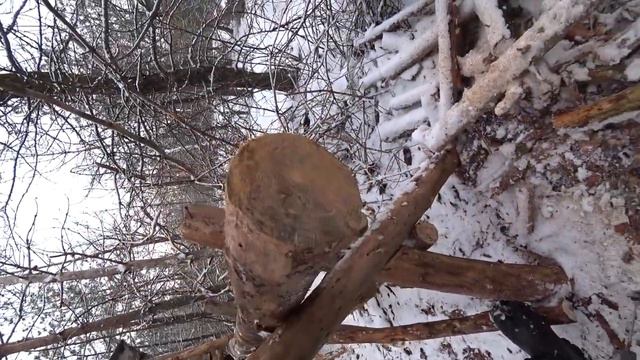 Изба часть 2, 2021. Сделал заднюю стенку на Избе. Сделал Супер кормушку для птиц. Волкмикс.