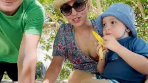 Сейшелы.Остров Ла Диг. Самые красивые пляжи. Ванильные плантации.