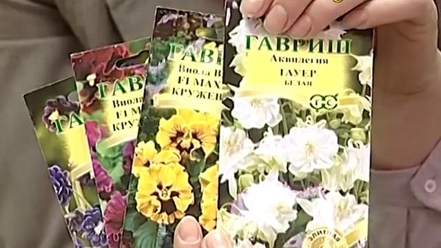 Цветы для балкона, веранды, патио смотреть онлайн