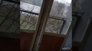 Купили дачу для отдыха. Так выглядела наша дача, когда мы ее купили.