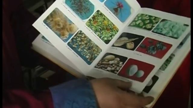 На приеме у лам Иволгинского дацана смотреть онлайн