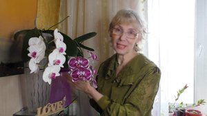 Обзор цветочков на подоконнике,  уход за комнатными цветами весной