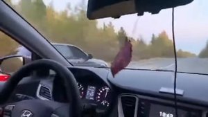 Приора 1.6 против Хундай солярис 1.6