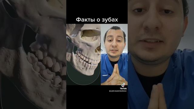 Интересные факты о зубах 🦷✌️ #зубы #стоматолог #здоровье #интересно #познавательное #факты #полезно