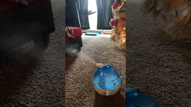 AquaOasis Cool Mist Humidifier Testing | Ultrasonic Humidifiers for Bedroom & Large room смотреть онлайн