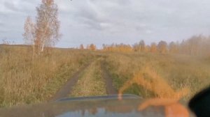Покатушки на Шеврале Нива по лесу+мой опыт эксплуатации