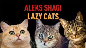 2024-0706 Aleks SHAGI - Lazy Cats (KORG Pa4X + SONAR)