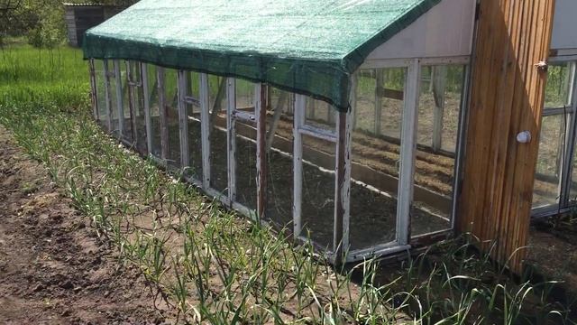 Теплица и теплые грядки© Дачные будни смотреть онлайн