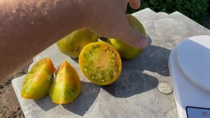 Томат Зеленое сердце Рейнхарда. Tomato Reinhard's Green Heart