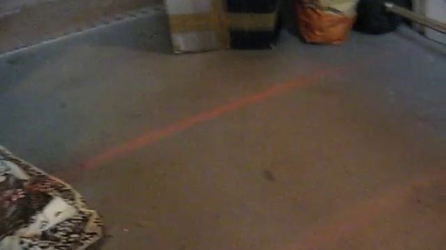 Honda CBR1100xx Blackbird and Delkevic Exhaust end cans смотреть онлайн