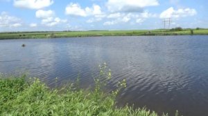Рыбалка на коммерческом водоёме "Высоковольтка" хутор "Кизилов" 28 мая 2023г.