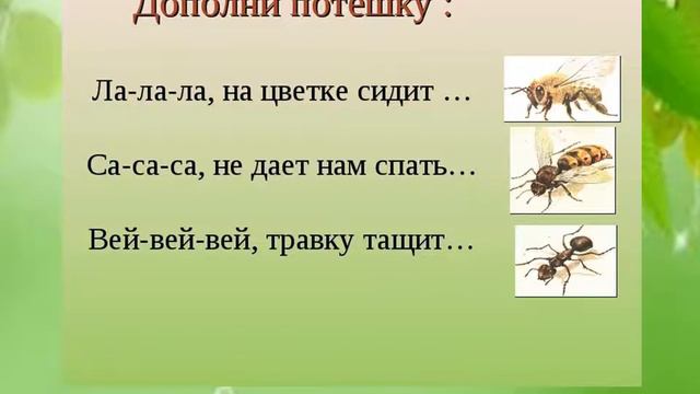 Занимательная викторина 