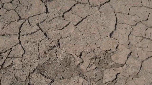 Что можно найти на дне пруда смотреть онлайн