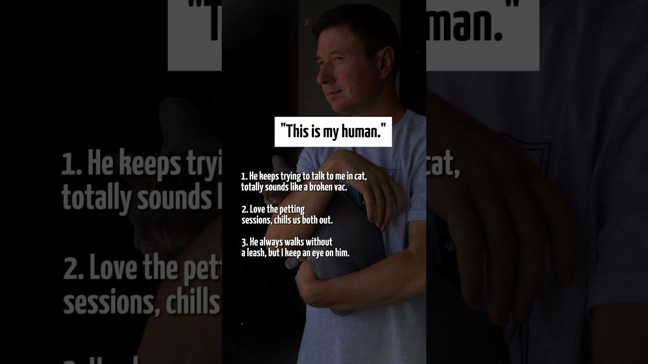 Shorts для магазина футболок с индивидуальным принтом домашних животных-cosmicpet смотреть онлайн