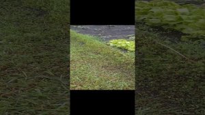 1000023394.mp4