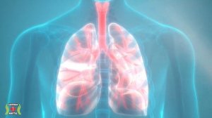 10 ВАЖНЫХ Сигналов Дефицита Калия в организме, вот как проверить...