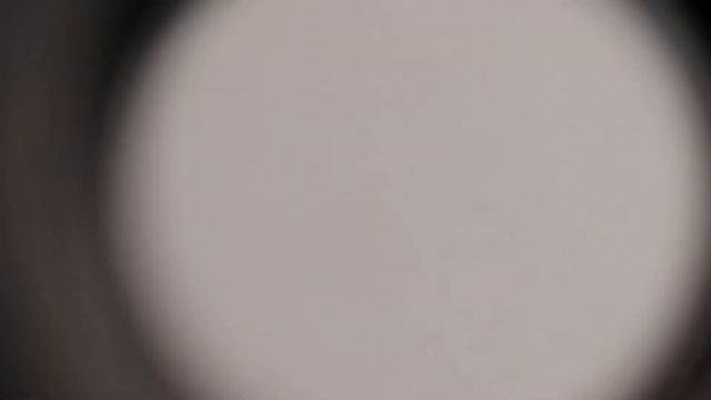 тля черная поедает листья черешни смотреть онлайн