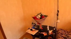? Стальные антиприсадочные шипы от птиц