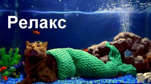 Аквариум Рыбки Музыка - 5 часов релаксации.