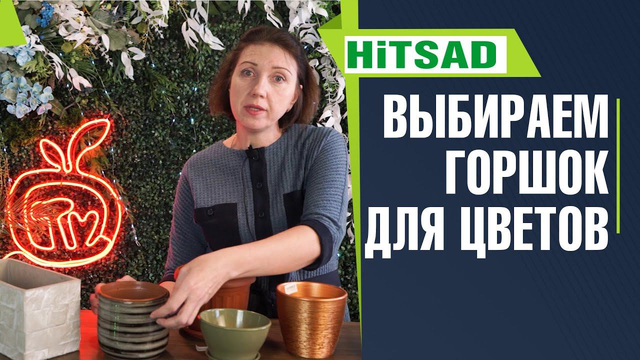 Вы выбираете горшок для растений не правильно ✔️ Куда пересаживать растения