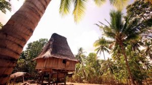 TIMOR LESTE OR EAST TIMOR | ULTIMATE TRAVEL GUIDE | ASIA EDITION