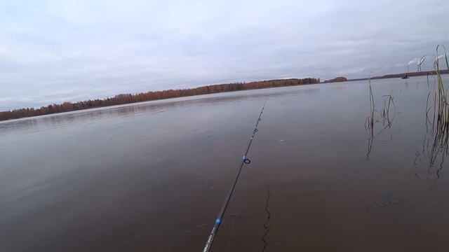 Этот воблер ловит всегда и везде.Ловля щуки и окуня.Лучший воблер.Рыбалка на спиннинг. смотреть онлайн