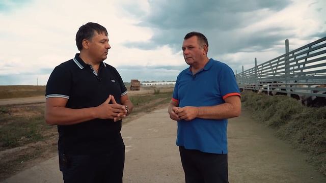Фермерское хозяйство в Казахстане. Разведение лошадей. Уборка урожая