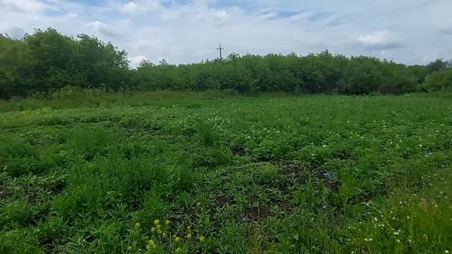 Усадьба хорошие люди Огород в самое холодное лето смотреть онлайн