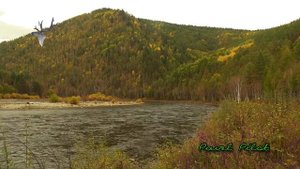 Таежная речка Менза. Сплав и рыбалка. День первый.