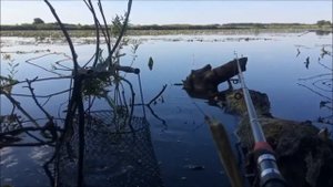 Расслабляющее видео для сна. Рыбалка,пение птиц,атмосфера реки и природы
