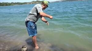 Судак на живца с берега. Судак на резинку.TRAILER/710.