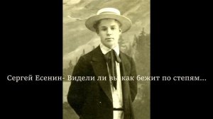 Сергей Александрович Есенин- Видели ли вы как бежит по степям…