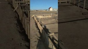 Строительство фундамента в Крыму часть 2