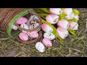 Квест от Арины 22.04.20