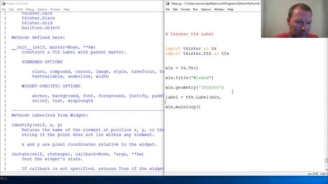 Python Basics Tkinter TTK Label Widget