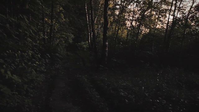 Говоровский лес (небольшая прогулка) смотреть онлайн