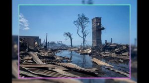 Hawaii’s Missing 1,000: Are They Dead or Alive?