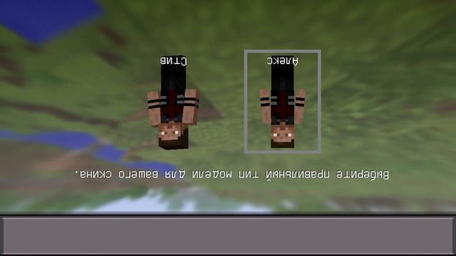 Установка скина для Minecraft (0.14.2-0.15.0) и создаём свой на iOS девайсе. смотреть онлайн