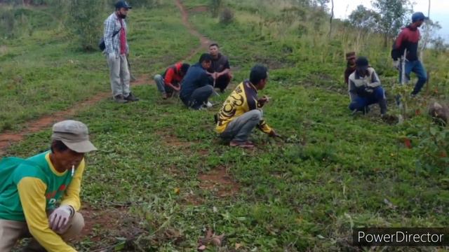 BUKIT BALANEANG DESA SUKAWANGI смотреть онлайн