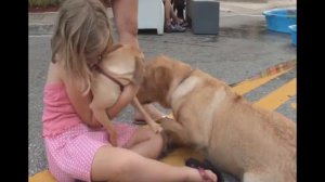 Dog Day Afternoon on Clematis Vendors