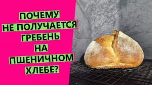 НЕ ПОЛУЧАЕТСЯ ГРЕБЕНЬ 😱🤦♀️ на пшеничном хлебе! Почему? Ответы на все вопросы!