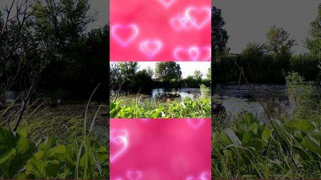 Красивая природа в деревне. Речка деревья, красота.