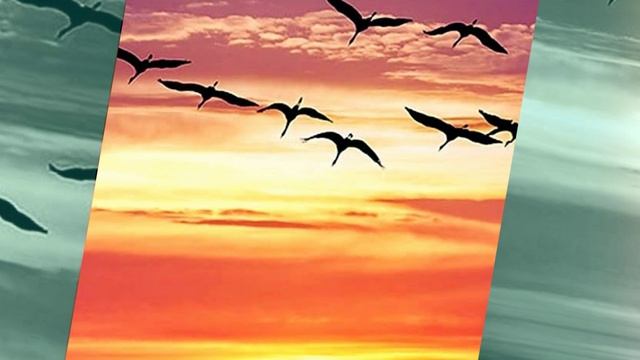 МАКСИМ КУСТ ЖУРАВЛИ.mp4 смотреть онлайн