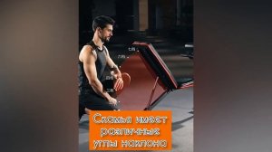 Фитнес скамья для пресса и жима Odissey 2