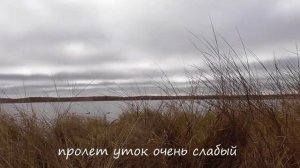 ОхОтА на УтоК и ГуСеЙ в ЯкУтИИ! Осень 2022г.