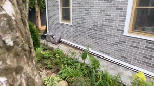 Цветочная композиция как я составляю клумбу на даче